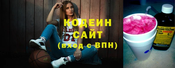 молекула духа Бородино