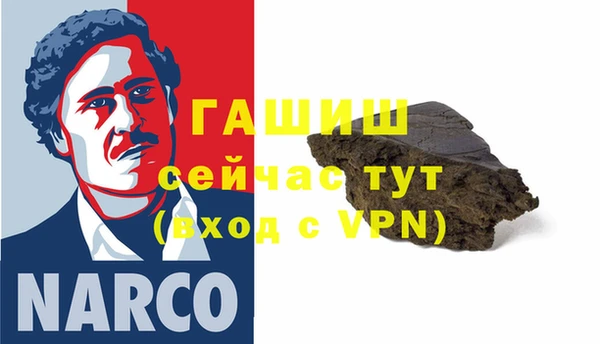 молекула духа Бородино