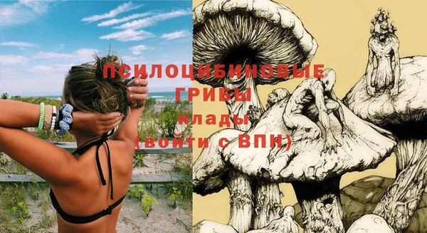 прущий лед Бронницы