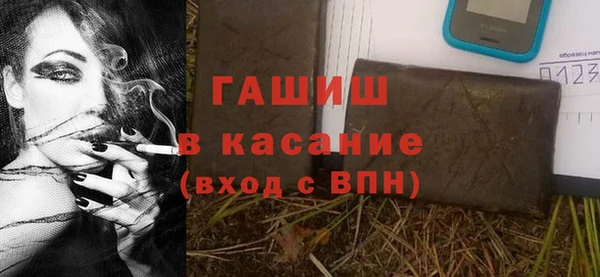 молекула духа Бородино