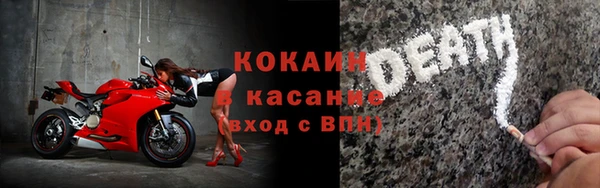 молекула духа Бородино