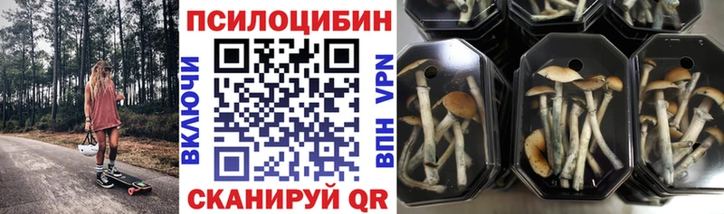 как найти Эртиль Галлюциногенные грибы Magic Shrooms